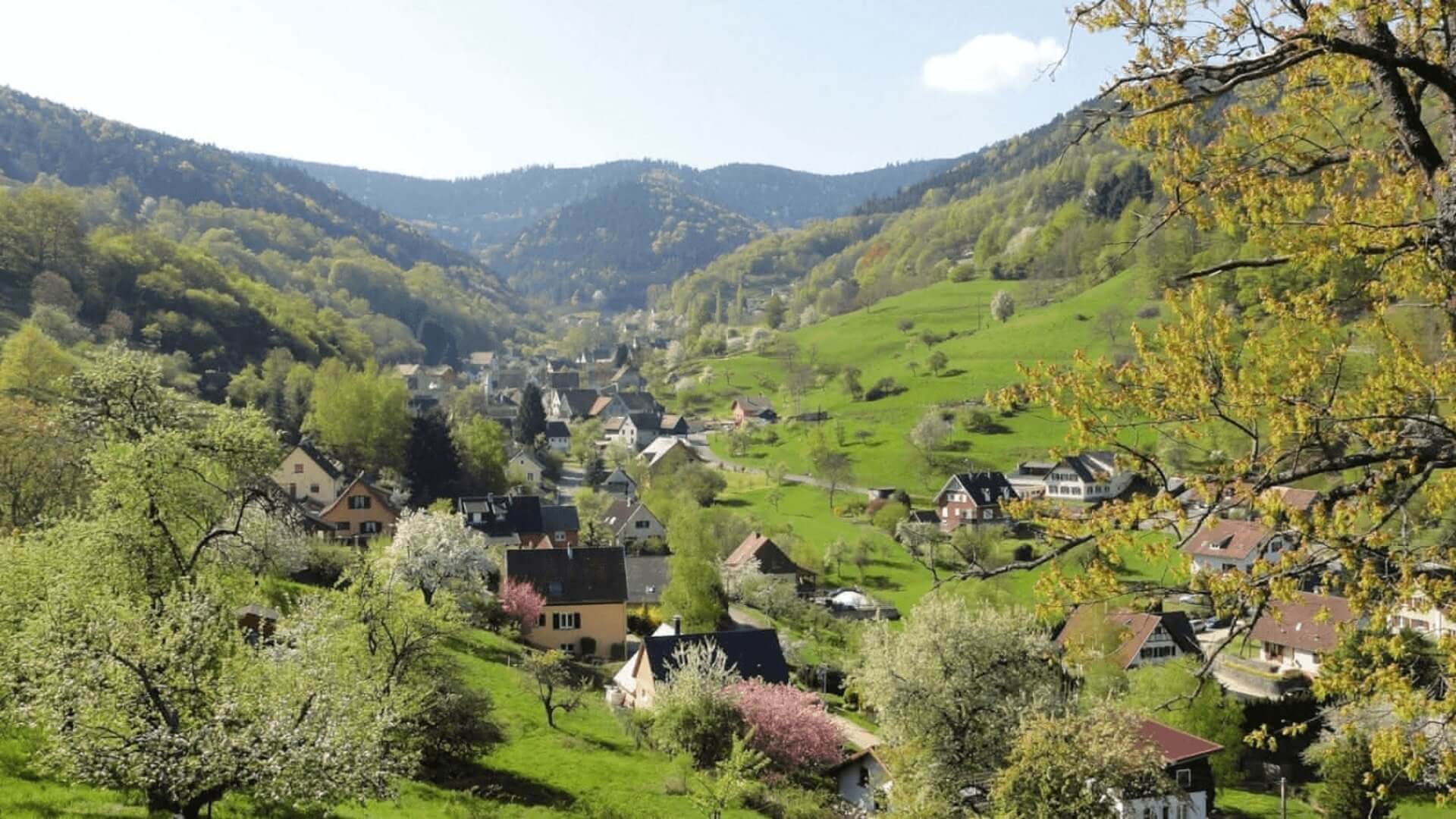 Photo du village de Eschbach au val